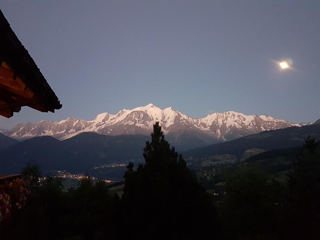 La Joubarbe Au Balcon Du Mont-Blanc Villa Sallanches Exterior photo